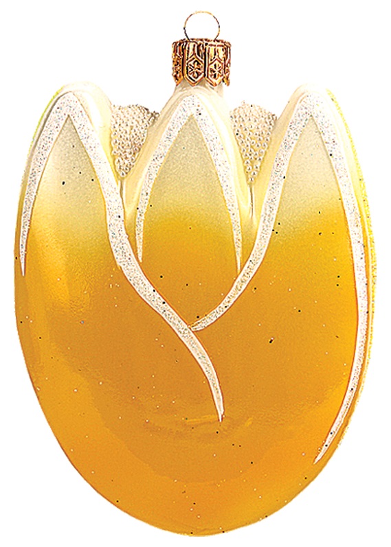 Gelbe Tulpe